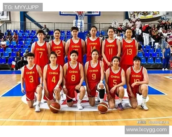 实时新闻南京篮球队杯赛战术分析与表现评估全面解读